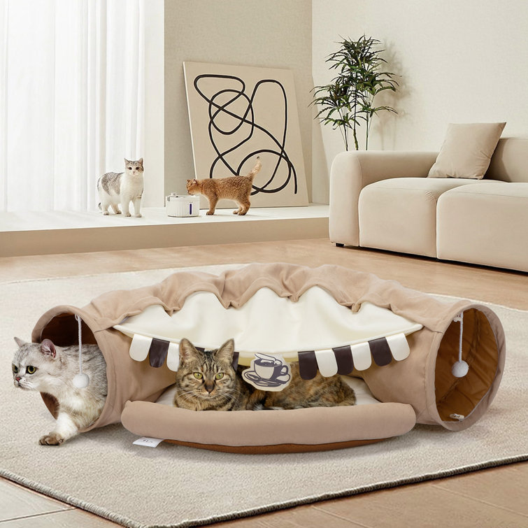 Couch with 2025 cat tunnel